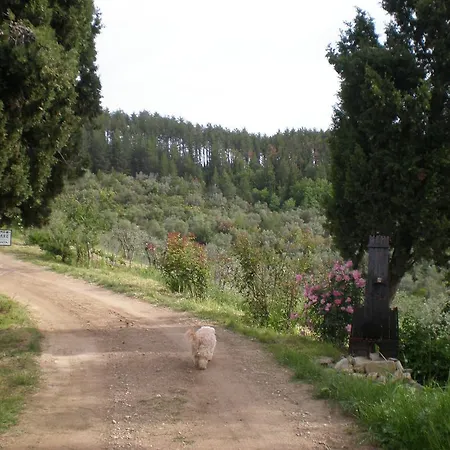 Podere Torre Greve in Chianti