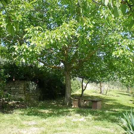 Podere Torre * Greve in Chianti